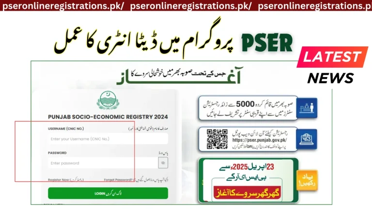Data Entry Process In PSER Program