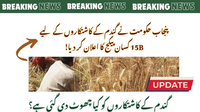Punjab Govt Announces 15B Kisan Package For Wheat Farmers