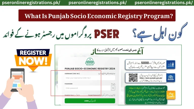 What Is Punjab Socio Economic Registry Program