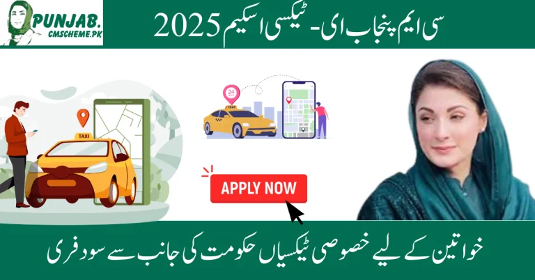Punjab Chief Minister’s E-Taxi Initiative 2025