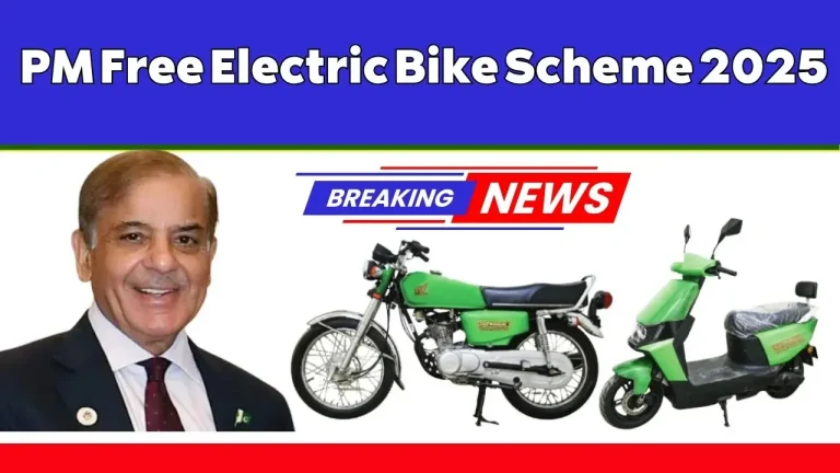 2025 Electric Bike Initiative by the Prime Minister
