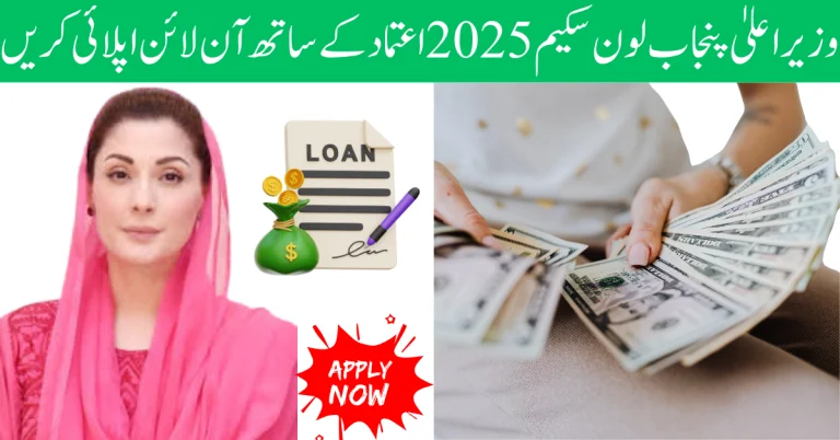 Punjab Chief Minister’s Loan Program 2025: Apply Online with Assurance
