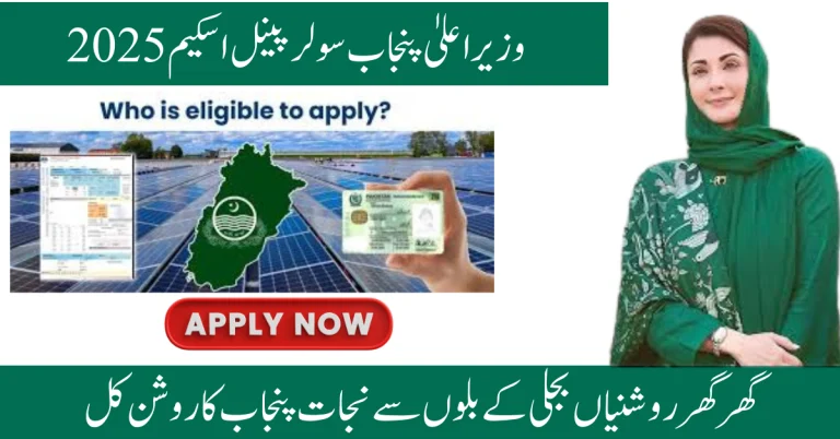 Online Application for the Punjab Chief Minister’s Solar Panel Initiative 2025