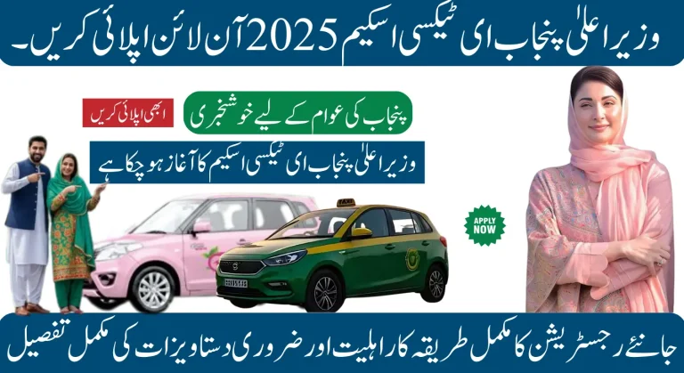 Essential Documentation for the 2025 Punjab E-Taxi Initiative | Comprehensive List