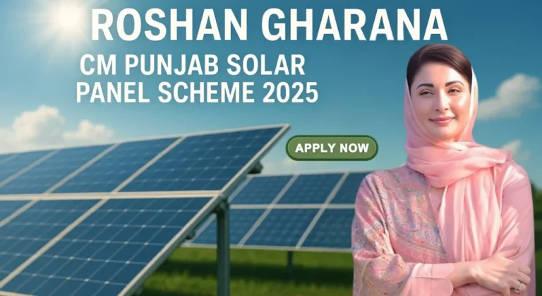 2025 Free Solar Panel Program by the Chief Minister