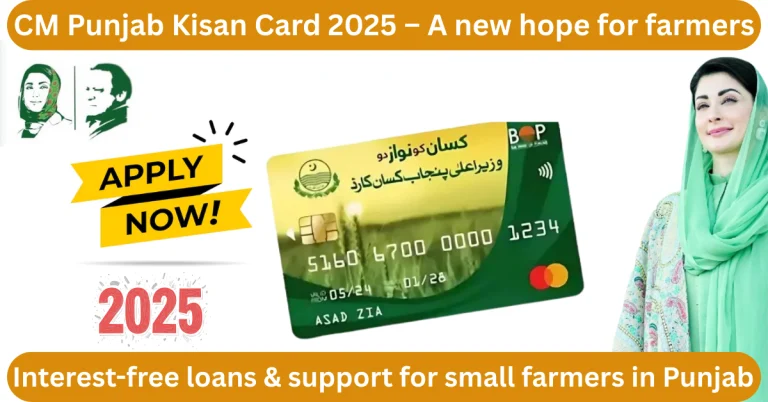Online Application for CM Punjab Kisan Card 2025