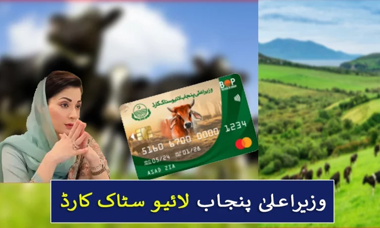 Punjab Chief Minister’s Livestock Card 2025