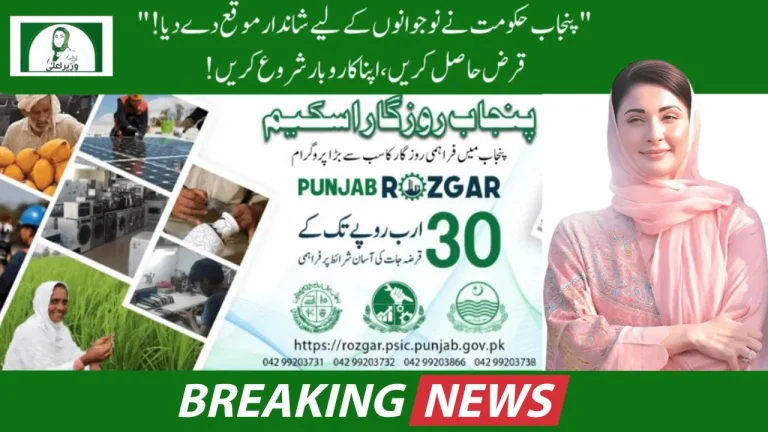 Online Registration for the CM Punjab Employment Program 2025