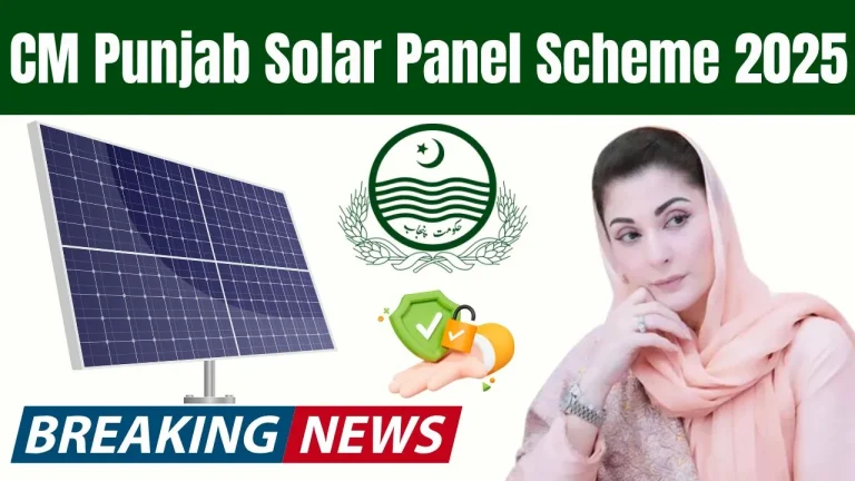 2025 CM Punjab Solar Panel Initiative: Online Application Available