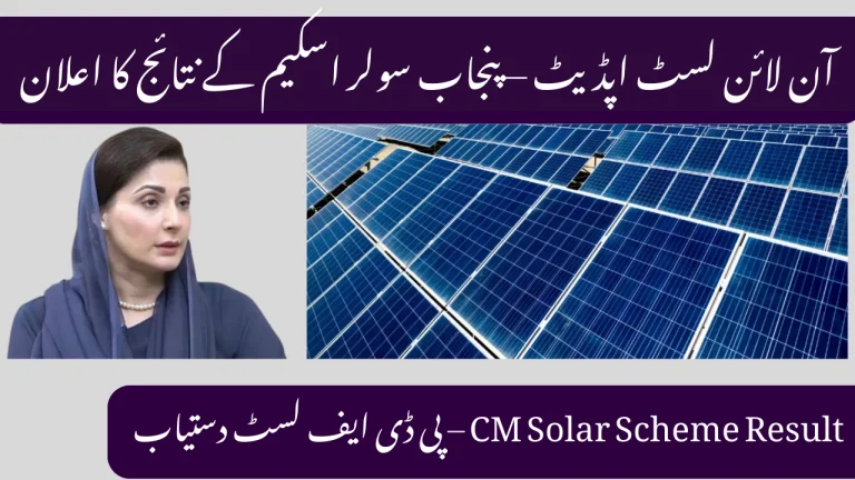 Results of the Punjab Solar Initiative 2025