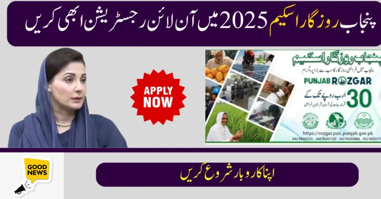 Punjab Chief Minister Employment Program 2025