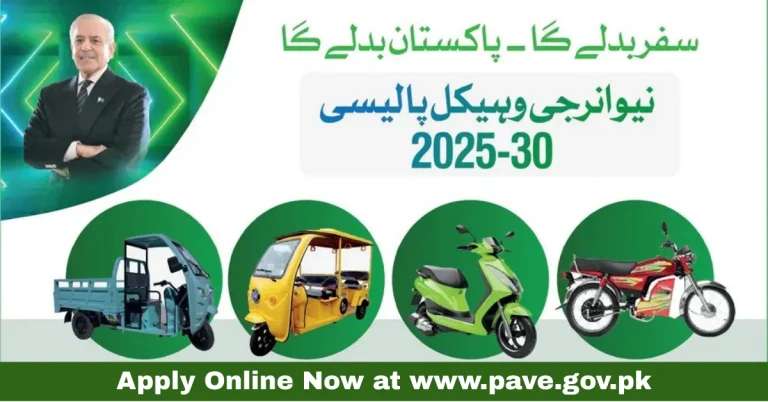 PAVE.gov.pk Online Application for 2025