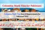 Colombia Work Visa Fees & Requirements for Pakistani 2025