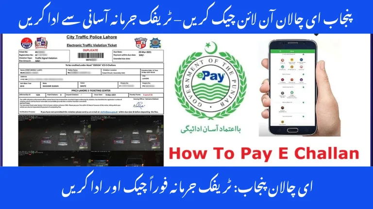 Easy Ways to Verify Traffic Fines Online