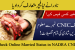 Check Online Married Status in NADRA CNIC Without Fee – Complete Guide 2025