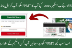 PMT Score Importance in BISP and Punjab Schemes 2025 – Your Key to Welfare Benefits in 2025