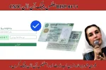 BISP 8171 Balance Check Online CNIC