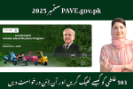 PAVE.gov.pk October 2025 – How to fix the 503 error and apply online