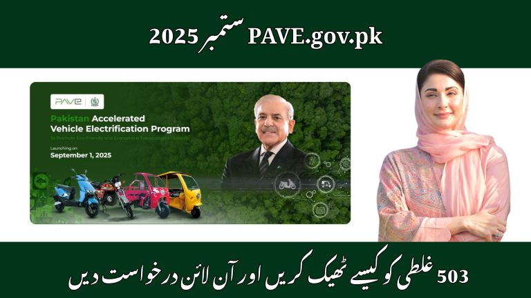 PAVE.gov.pk November 2025 – Resolving the 503 Error and Completing Your Online Application