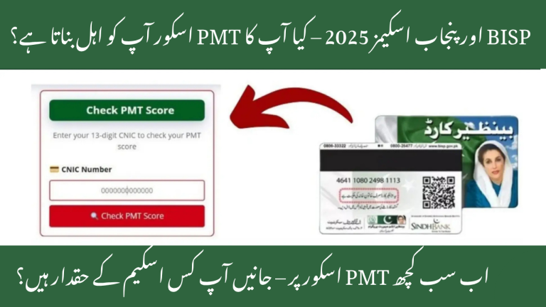 Significance of PMT Score in BISP and Punjab Programs 2025 – Your Gateway to Welfare Benefits This Year