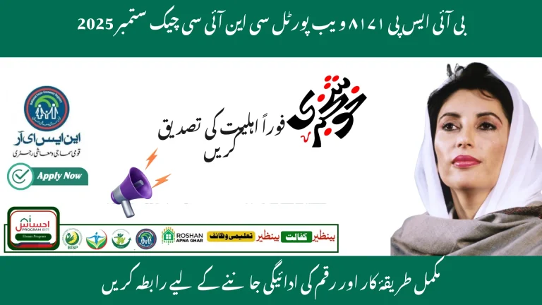 BISP 8171 Online Portal CNIC Verification November 2025