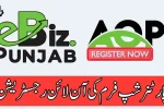eBiz Punjab Portal